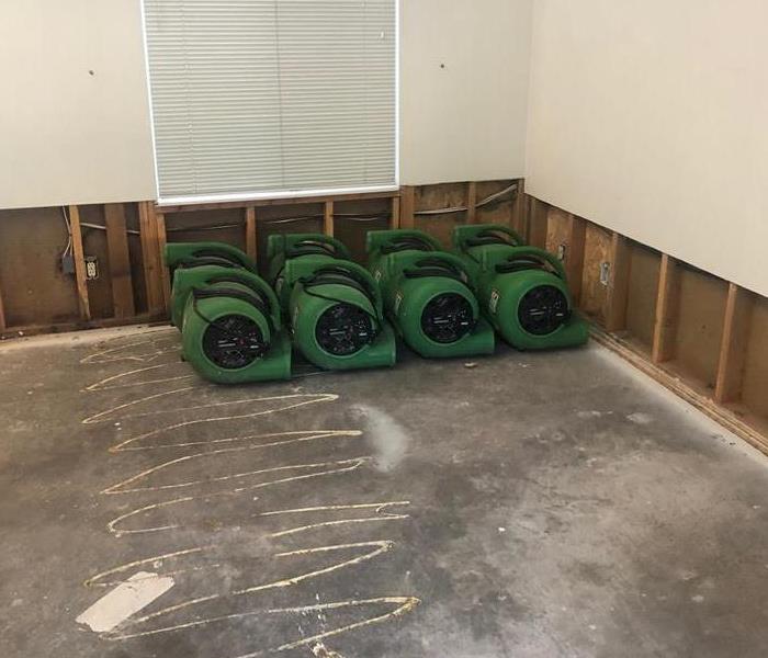 green drying equipment in a room