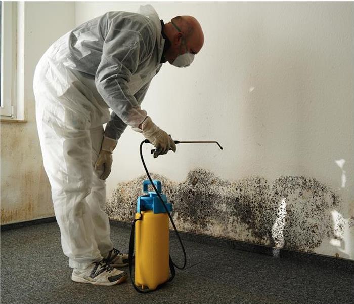 A technician wearing protective equipment while performing mold removal at a home