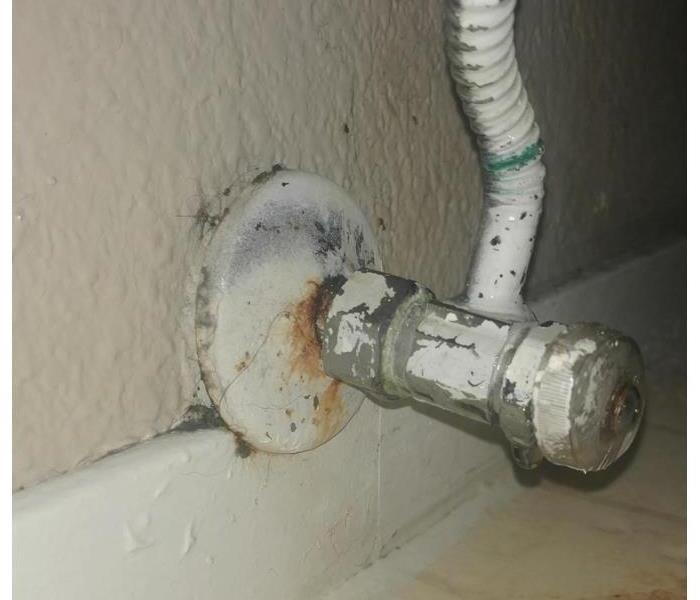 Old leaking shutoff valve that connects to a toilet that is dripping water.