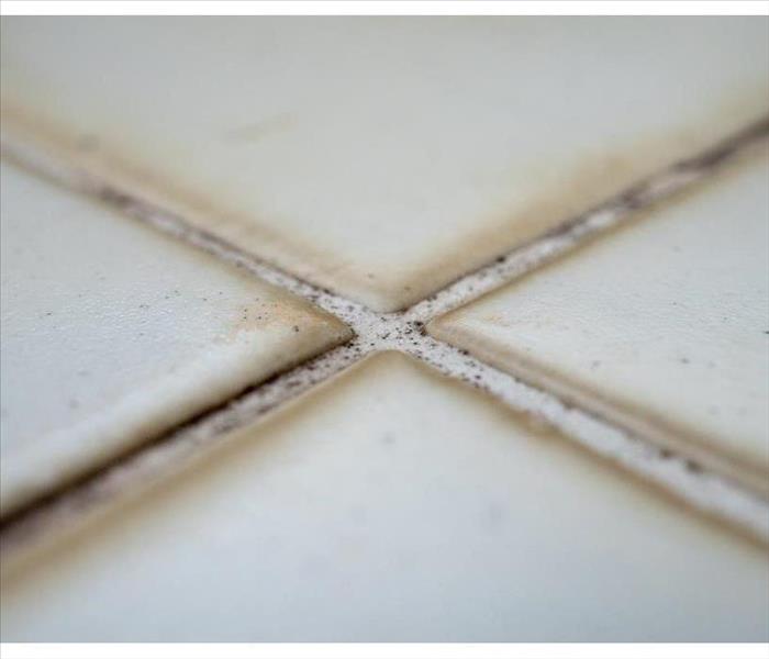 Macro white tiles with a grout mold.